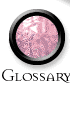 Glossary